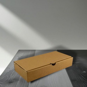 Tek Pide Kutusu 11,5x23x4 (250 Adet)